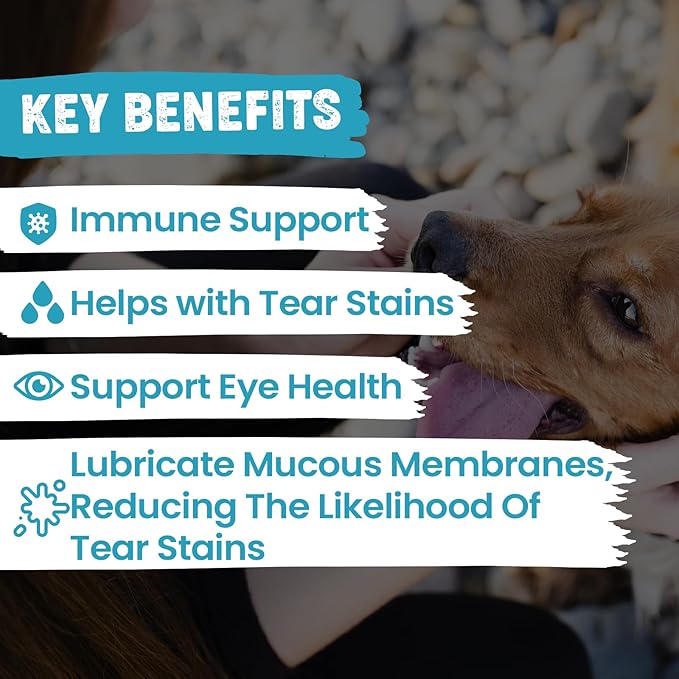 Replenish Tear Stain Chews for Dogs and Cats - Dr. Rachel's Tear Stain Remover for Dogs - Dog Eye Tear Stain Remover - Tear Stain Supplement for Dogs - Natural Tear Stain Soft Chews - 60 Count