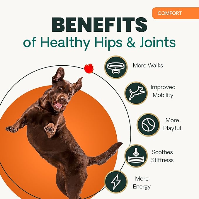 VetriScience Extra Strength Healthy Hip & Joint Chews, GlycoFlex 3, Glucosamine, Green-Lipped Mussel, Joint Support Supplement for Dogs, Promote Mobility & Soothe Joint Discomfort, Chicken, 120 Count
