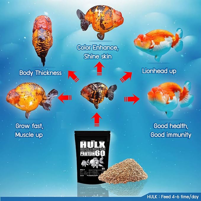 HULX Goldfish Food Sinking Pellets for Big Muscle & Mass Weight Gain, Whey Mixed High Protein 60% Fish Food Growth Fast Formula 1.32 Lb.(600 Gram.) 1mm, Healthy, Color Enhancing Clear Water Fish Feed
