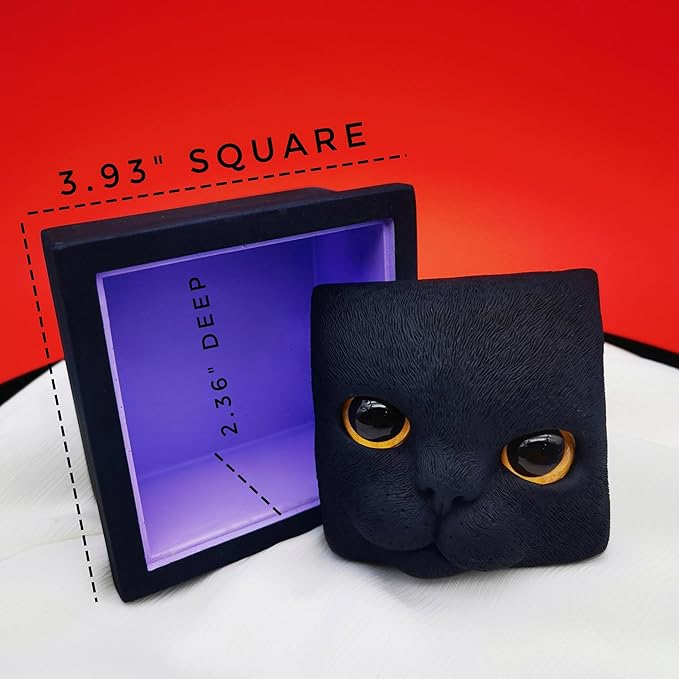 Cat Keepsake Box Memory Decorative Box Cat Portrait Gifts For Pet Owners And Pet Lovers Holds Jewelry Cat's Whiskers Fur and as a Memory Box (Black Cat)