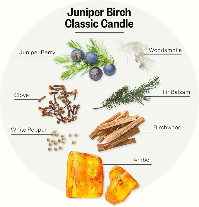 Apotheke Signature Candle Scented Candles for Home, Juniper Birch - 10.5 oz Seasonal Soy Wax Jar Candle - Long-Lasting Fall Scented Fragrance with Perfume-Grade Essential Oils