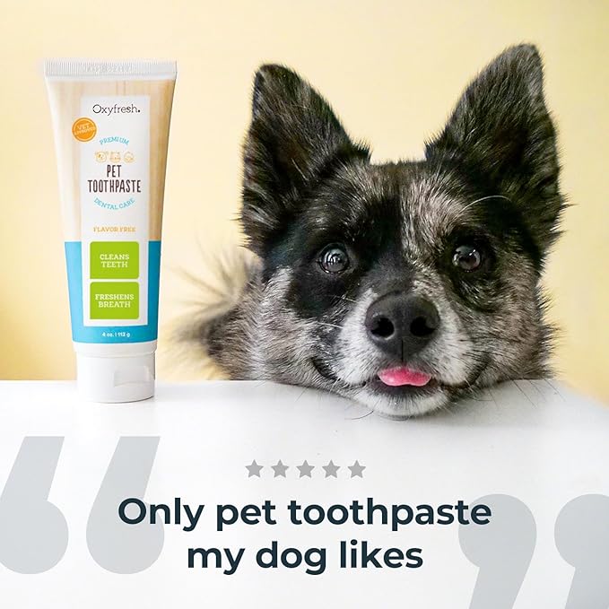 Oxyfresh Premium Dog & Cat Dental Gel Toothpaste - Best Teeth Cleaning Gel Helps Fight Plaque, Tartar and Freshen Bad Dog & Cat Breath - Best Pet Dental Care Toothpaste - 4oz