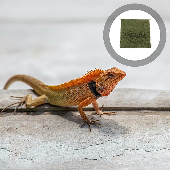GANAZONO Reptile Carpet Bedding Mat for Turtles Lizards Tortoises Climbing Pets Supplie Terrarium Liner Reusable Non-Adhesive Moss Substrate for Comfortable Habitat