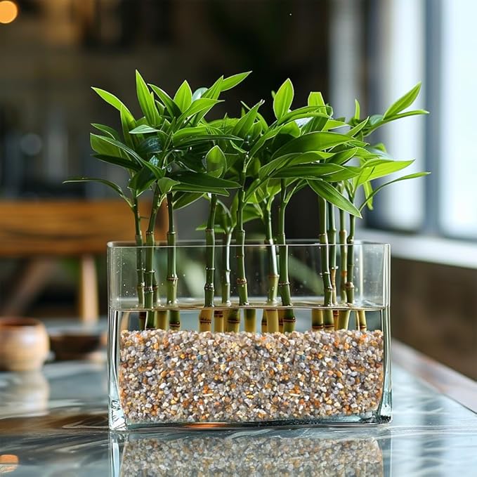 HappyFiller 2 LB Natural Coarse Sand Real Silica Sand Vase Filler,Arts Crafts,Beach Theme,Wedding Ceremony,Home Decoration,Aquarium Tank,Fire Pits,Succulents Plants,Animal Bedding,Zen Garden