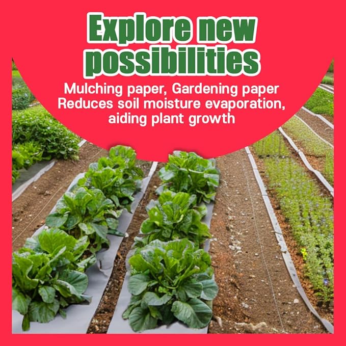 HASHI Bird Cage Liner - 120 Disposable Sheets Made from Acid-Free Newsprint. Non-Toxic for Birds, Ideal for Packing, Pet Cages, Crafts, Shipping, and Moving. Easy to Clean (31"x21.5")