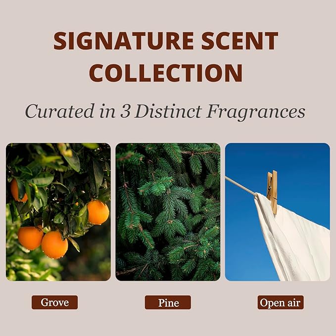 Car Air Freshener - Wood Air Freshener - Car Odor Eliminator for Visor Clip-Variety Scent Refill, Vehicle Scent Diffuser for Cabin, Truck & SUV - Pack of 3 (Grove-Pine-Open air)-CLIP INCLUDED