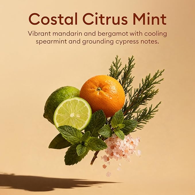 Vove Dish Soap Bar 3 Pack, Coastal Citrus Mint, Mandarin, Spearmint, Cypress & Bergamot Oils, Coconut Cleanser, Plant-Based Solid Dish Soap, Zero-Waste, Plastic-Free, FSC-Certified Kraft Packaging