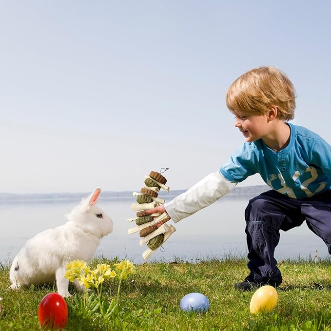 3Pcs Bunny Chew Toys for Teeth Bunny Hanging Grinding Cake Natural Sweet Bamboo Sticks Timothy Alfalfa Hay & Carrot Cake for Rabbit Guinea Pig Chinchilla Gerbil Improve Dental Health