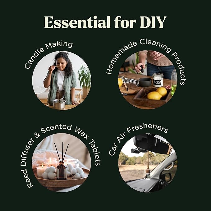 Fragrance Oil Set - Premium Grade 10 Pcs Scented Oils for Candle Making, Soap Scents, Aroma Beads, Bath Bombs, Perfume & Flavoring Oil for Lip Gloss - Essential Oils with Fruity Scents (10ml)