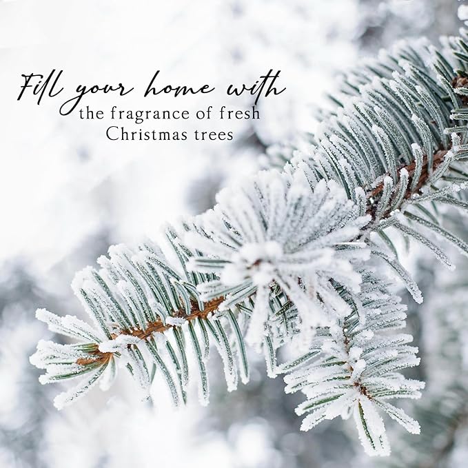 Reed Diffuser Set, 6.7 Oz Balsam & Cedar Scented Oil Diffuser with Sticks, Decorative Air Freshener for Home Bathroom Shelf