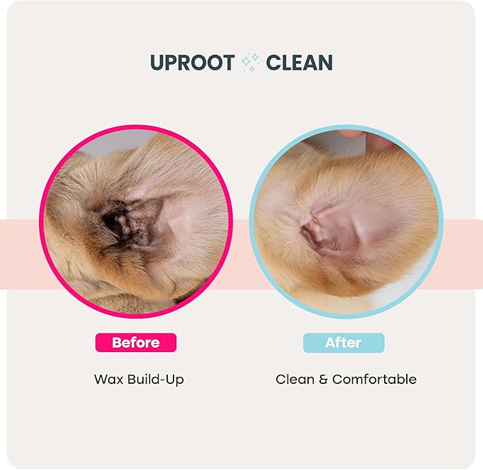 Uproot Clean Cat & Dog Ear Cleaner Finger Wipes (50ct.): Disposable Dog Ear Wipes Enriched with Shea Butter & Jojoba Oil - Cleaner Removing Wax Build Up, Help with Odor Discomfort