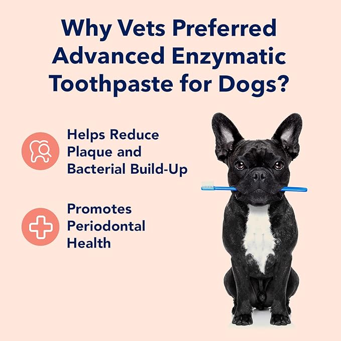 Vets Preferred Dog Enzymatic Toothpaste – Safe and Natural Dog Oral Care Toothpaste – Freshens Breath, Fights Plaque and Reduces Tatar – Tasty Peanut Butter Flavor – 3 Oz