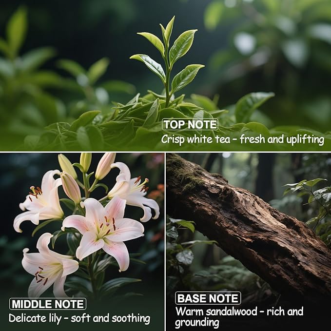 Hotel Diffuser Oil – Luxury White Tea Lily Warm Sandalwood Aromatherapy Premium Fragrance Oil for Ultrasonic and Waterless Diffusers 1 Pack(1 * 1.02 fl oz) Dream On Scent