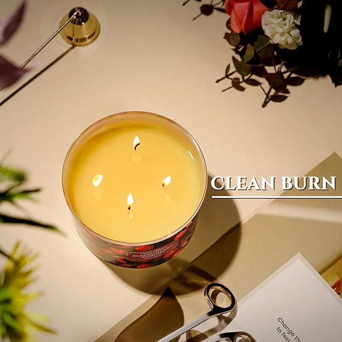 HomeLights Soy Wax Candles for Home Scented, 4-Wick Candles in Blackcherry Merlot Scented, Aromatherapy Candles Gift for Parties, Relaxing, Eclectic Mixed Styles, 18oz