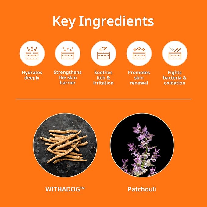 ODAC Overture Derma Serene Pet Shampoo, Gentle, Skin Friendly with Winter Cherry Root & Korean Patchouli, Rich Lather & Herbal Freshness, for Dogs & Cats, 10.14 fl oz Korea Beauty Pet Skincare