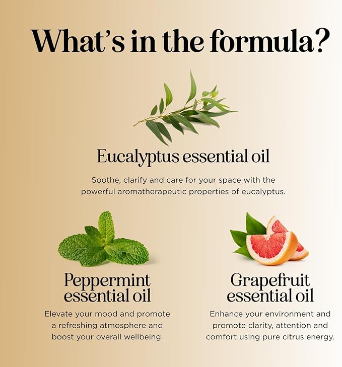 Focus Essential Oil Blend for Diffusers - Aromatherapy Essential Oils Blend for Home and Travel Energy Focus and Attention Support with Grapefruit Bergamot Peppermint and Eucalyptus (1 Fl Oz)