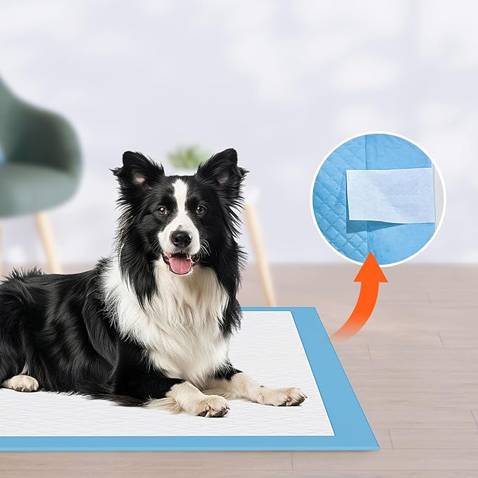 JollyMate Dog Pee Pads Extra Large 30"x36", 50 Pack X-Large Super Absorbent Pet Training Pads with Adhesive Tabs, 6 Layers Thick Leak-Proof Potty Pads for Dogs and Puppies