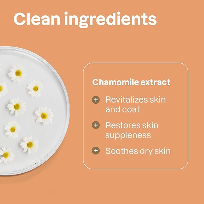 ATTITUDE Natural Itch Soothing Shampoo for Cat & Dog, Vegan and Cruelty-Free, Grooming Products, Lavender, 16 Fl Oz (Pack of 4)