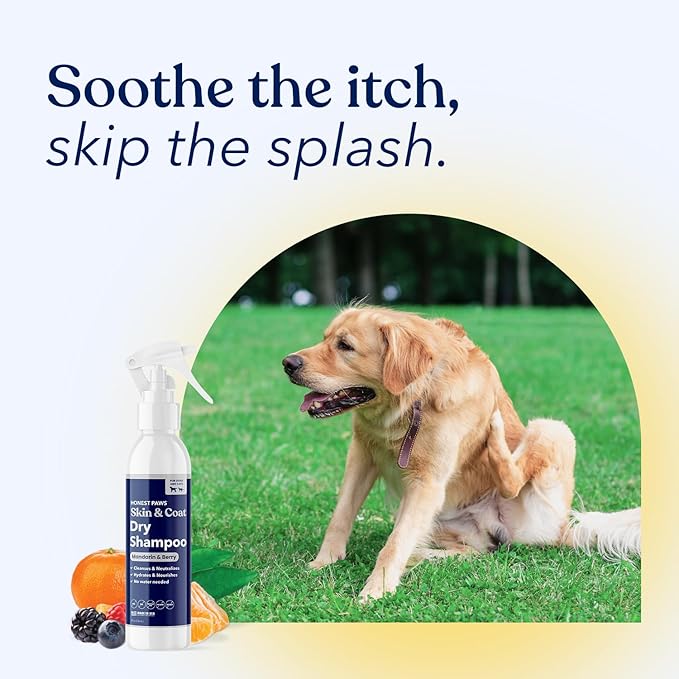 Honest Paws Dog Dry Shampoo - Waterless No Rinse Spray Formula Reducing Itch Cleanse Hydrate Nourish Dry Skin and Smelly Coat Help Decrease Odor Shedding and Allergies - Mandarin & Berry - 8 oz