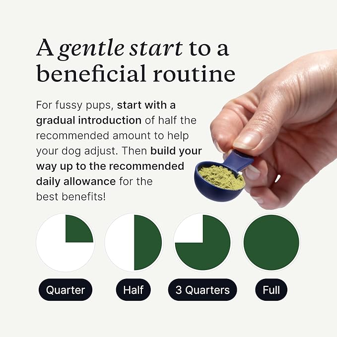 PetLab Co. ProBright Advanced Dental Powder - Dog Breath Freshener - Teeth Cleaning Made Easy – Targets Tartar & Bad Breath - Packaging May Vary - Formulated for Medium Size Dogs