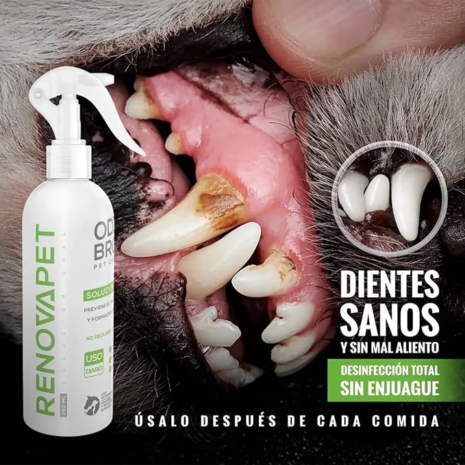 Renovapet Organic Antitartar Oral Care Solution Pets Pay 2 and Carry 3 (Renovapet Oral pay 2 carry 3, 250 Ml)