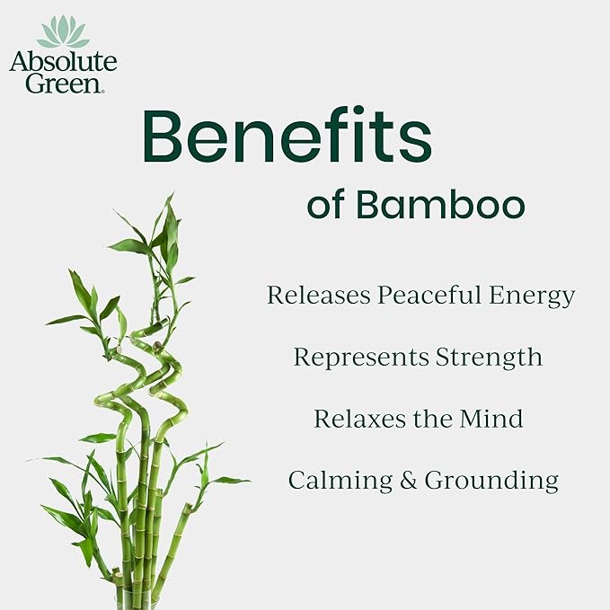 Absolute Green Air Freshener Room Spray, Non-Toxic, Cover Odors, Safe around Kids + Pets, Natural Bamboo Mist Scent 4oz (2 Pack)