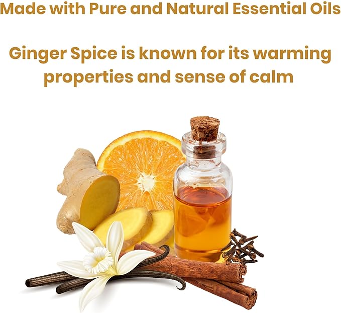 Absolute Green Air Freshener Room Spray, Odor Eliminator, Cover Smells, Ginger Spice Scent 4oz (Pack of 1)