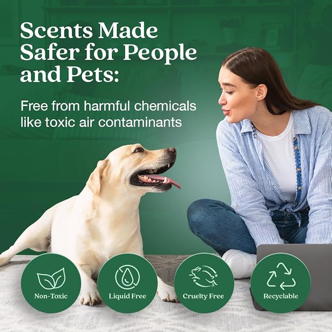 Enviroscent Non Toxic Air Freshener Plug-in Home Fragrance Last 45+ Days | Kit includes 1 Refillable Plug In Warmer & 1 Scent Refill (Balsam Fir & Spruce)