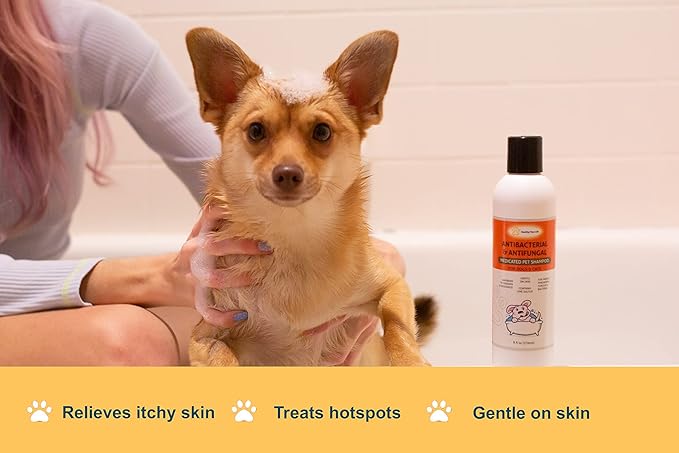 Healthy Paw Life Bundle - 2 Items: Classic's Lime Sulfur Cream (2 oz) and Classic's Lime Sulfur Shampoo (8 oz)