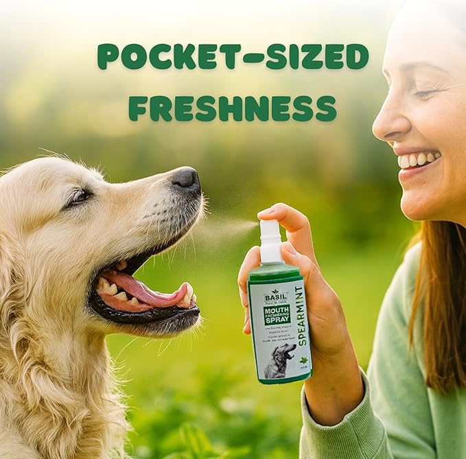 BASIL Dog Oral Care Spray – 4.4 oz | Spearmint Flavor Mouth Freshener for Dogs | for Cleaning Teeth, Gums & Fresh Breath | Easy-to-Use Dental Spray for Everyday Use