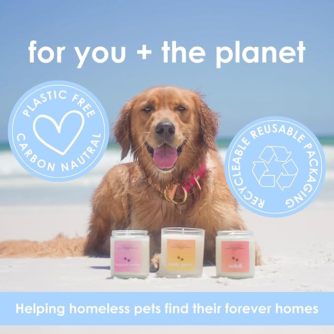 Horchata | Pet Friendly Candle | Soy-Free Coconut Apricot Wax | Clean Burning | Non-Toxic | Veterinarian Approved | Pet Odor Eliminator | Air Freshening Scented Candle | 9 oz