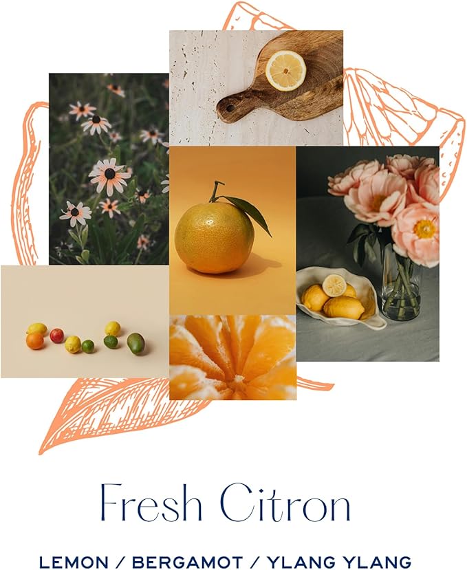 MERSEA Luxury Room Spray, Fresh Citron, 4 oz