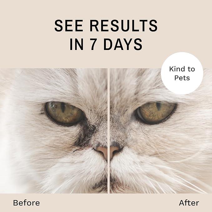 Eye Envy Cat Tear Stain Remover Starter Kit with ProPowder Brush. Stain Solution, Applicator Pads, Stain Powder, and Small Applicator Brush. Tear Stain Treatment Kit. Lasts 30-45 Days. Made in USA.
