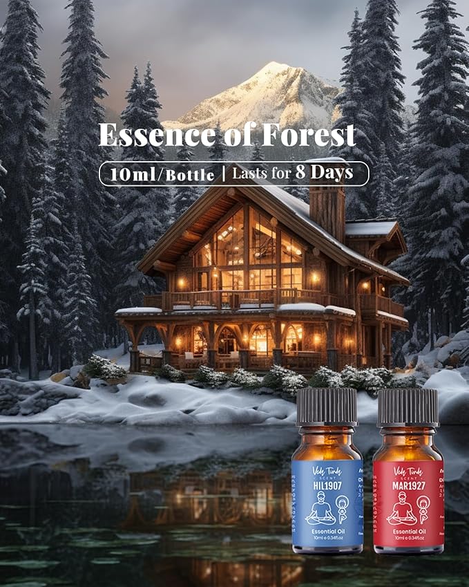 Waterless Diffuser with Hotel Essential Oils, Luxury Home Scents - Inspired by 5-Star Hotels, Fragrance Oil Blends for Diffusers, Air Freshener Aromatherapy Gifts Set