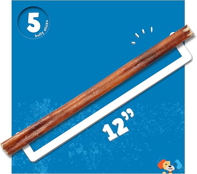 Jack&Pup 12 Inch Bully Sticks for Medium Dogs (5 Pack) Long Lasting Pizzle Sticks for Dogs | Single Ingredient, 100% Beef