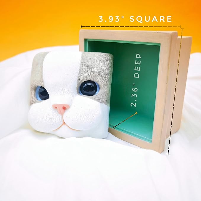 Cat Keepsake Box Memory Decorative Box Cat Portrait Gifts For Pet Owners And Pet Lovers Holds Jewelry Cat's Whiskers Fur and as a Memory Box(Ragdoll Cat)