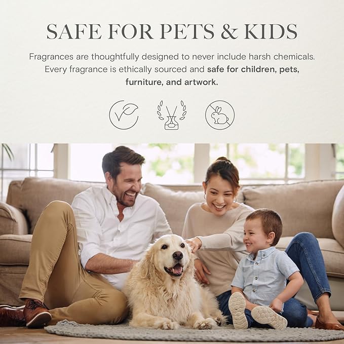 Scentiment Hotel Diffuser Oil Discovery Kit | Inspired by Five Star & Luxury Hotel Scents | Aromatherapy Oils with Notes of Cardamom, Tuscan Leather, and Sandalwood (20ml, Top 3 Scents)