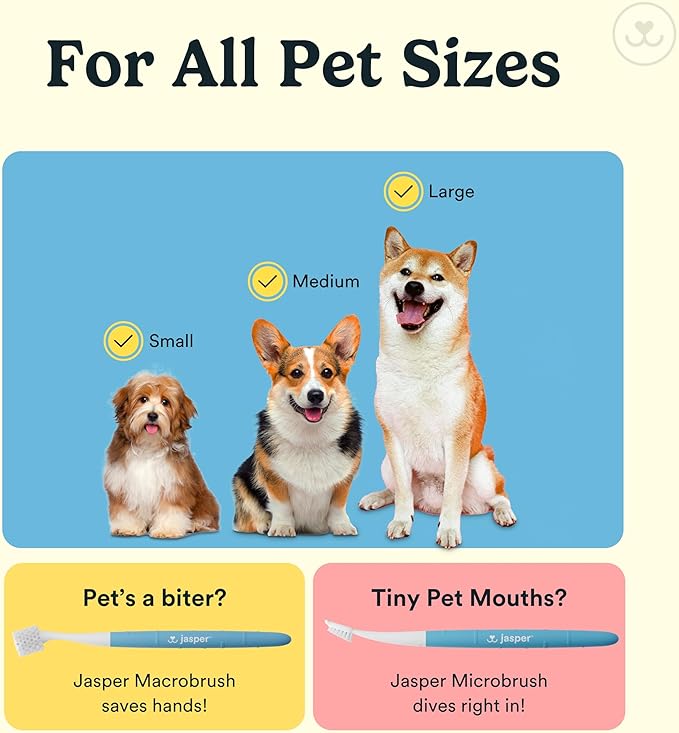 Jasper Dog Toothbrush, 360 Dog Tooth Brushing Kit, Finger Toothbrush, Cat Tooth Brush, Teeth Cleaning, Pet Tooth Brush for Small & Large Pets, Pet Toothpaste Not Included, 4-Pack Clear