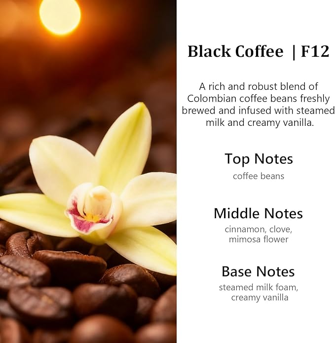 C Classy Car Air Freshener Hanging 2 Pack,Black Coffee Diffuser Oil for C ar,Long-Lasting Fragrance, Car Fresheners for Women & Men Gift, Made in USA