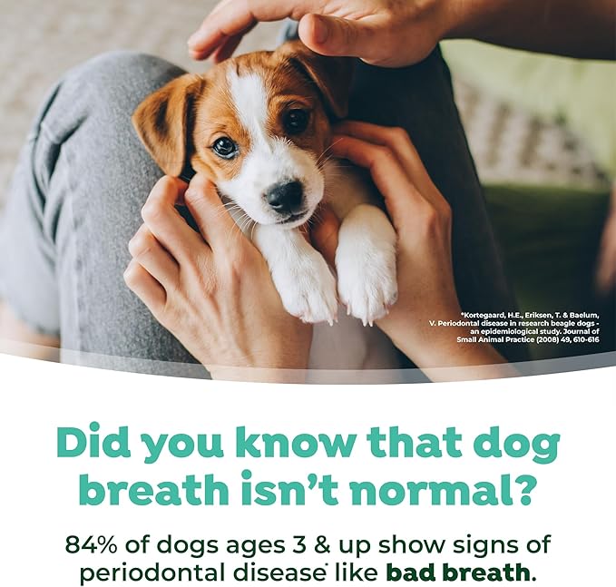 TropiClean Fresh Breath Water Additive for Puppies, Teeth Cleaning and Breath Freshener Solution, No Toothpaste or Toothbrush Required, 16oz.