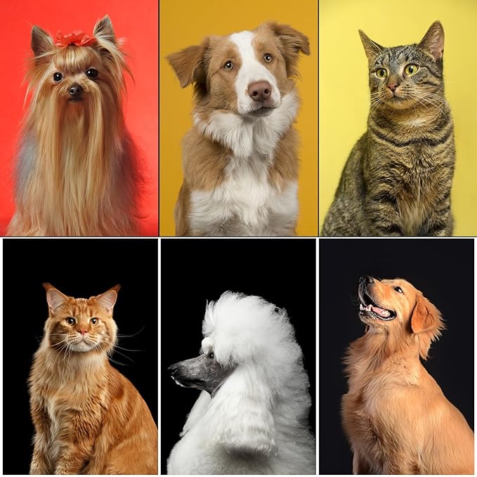 Complete Pet Grooming Solution by Dog - 9PCS Kit with Slicker Brush, Deshedding Tool, and Grooming Comb for All Breeds and Sizes, Promotes Healthy Skin and Coat