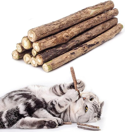 10 PCS Cat Catnip Sticks, Natural Matatabi Silvervine Sticks - Cleaning Teeth Molar Tools Kitten Chew Toy Natural Catnip Cats Toy