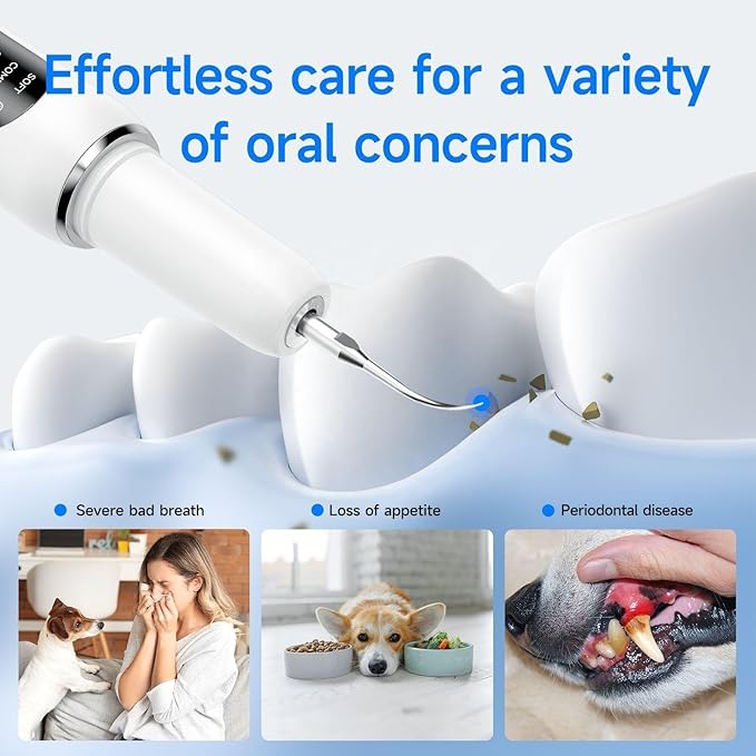 KT Dog Teeth Cleaning Kit for Small & Large Dogs – Complete Pet Dental Care Set with Enzymatic Toothpaste, Dual-Head & Finger Toothbrush – Plaque & Tartar Remover, Fresh Breath Oral Hygiene Solution