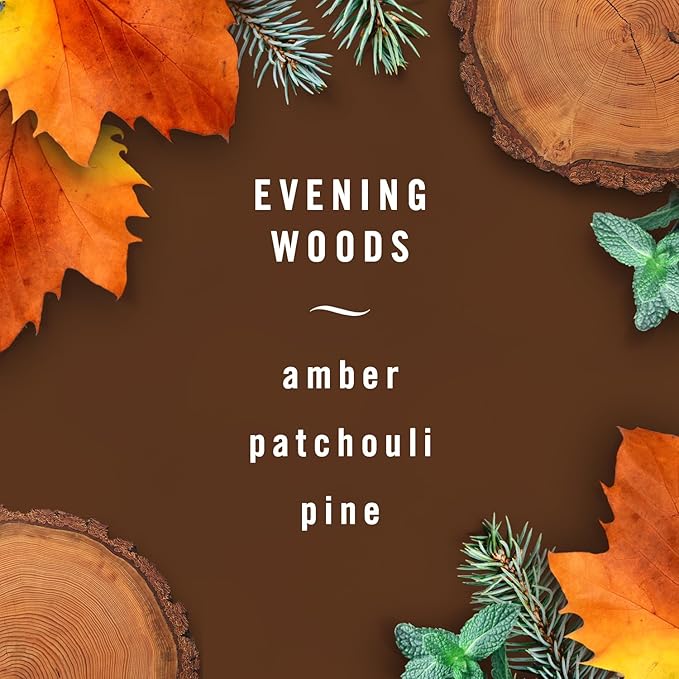 Febreze AUTO Air Freshener, Odor-Fighting Automotive Vent Clip, Evening Woods Scent, 8 Count