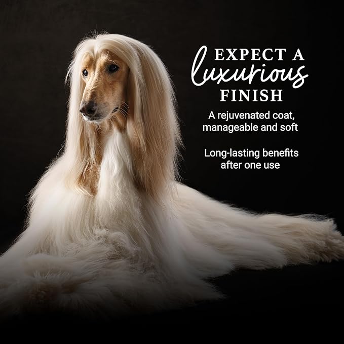 iGroom Deshedding & Detangling Dog Conditioner, Luxury Pet Beauty Care, Loosen Tangles + Unwanted Undercoat, Adds Shine + Volume, Made in USA (1 GAL)