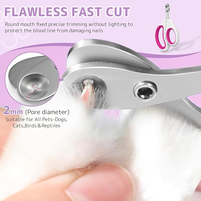 Cats Steam Brush for Cats,Rechargeable Grooming Tool for Cats & Dogs, Anti-Static Design, Delivers Massage, Cleansing, Shedding, Include Flea Comb, Nail Clippers, Pet Toothbrush,Cleaning Solution