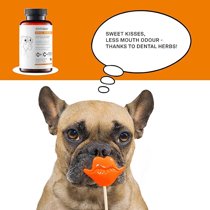 animaux Dental Herbs 365 – Herbal Dog Supplement, Supports Teeth Cleaning, Oral Care & Mouth Hygiene, Breath Freshener, Treats for Prevention of Plaque & Tartar, 60 chewable Tablets, 60 Days Supply