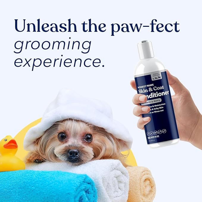 Honest Paws Dog Conditioner - Detangle & Moisturize - Premium Pet Conditioner for Itchy and Dry Skin - Hydrate Sensitive Skin - Shiny Coat Soft Hair Smooth Fur - Mandarin & Berry - 16oz