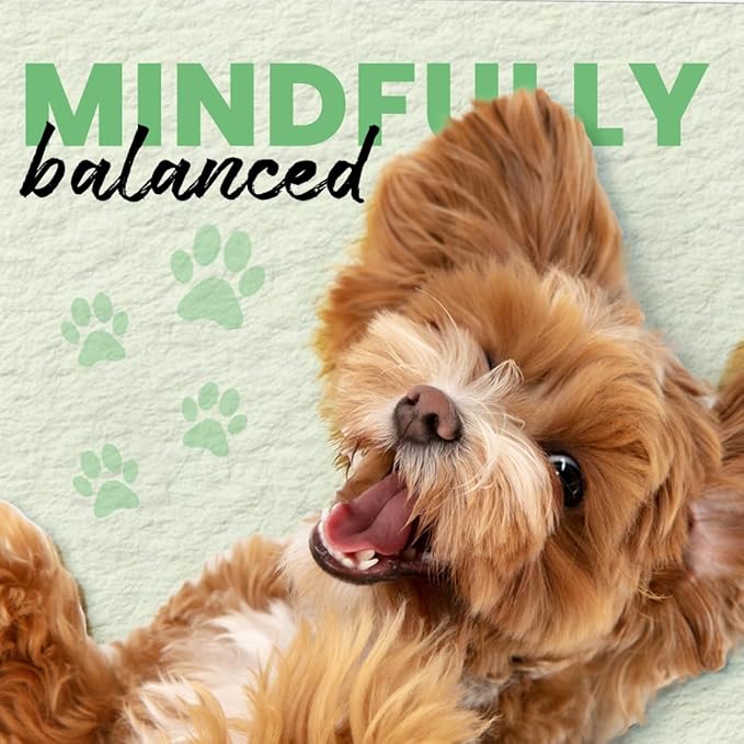 Best Shot Scentament Spa Caressing Body Wash, Fresh Apple Lily, 1 gallon