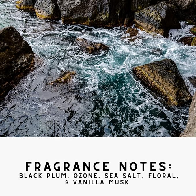 Home "Noir Luxe" Sea Salt & Ozone, Carpet Powde For Vacuumingr, Mattress & Upholstery Freshener With Room Spray, Air/Fabric/Linen Odor Eliminator For Homes With Kids & Pets Bundle